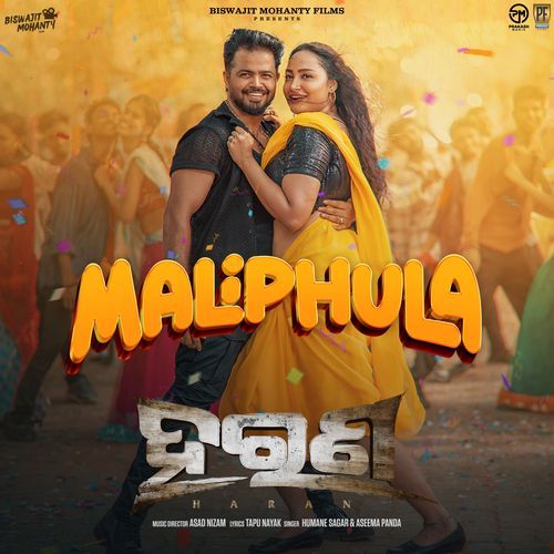 Mali Phula From Haran by Tapu Nayak - Download on PagalFree