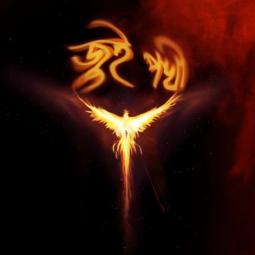 Jui Pokhi by Paplu Chetia - Download on PagalFree