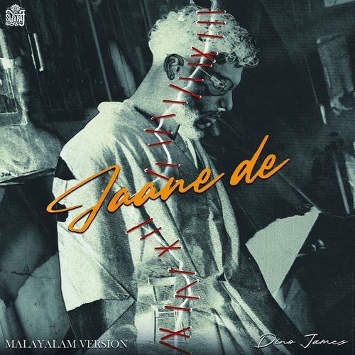 Jaane De Malayalam by Dino James - Download on PagalFree