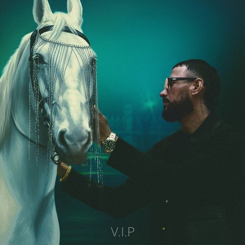 V.I.P by Garry Sandhu - Download on PagalFree
