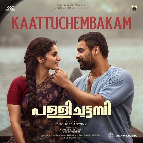 Kaattuchembakam From Pallichattambi by Jakes Bejoy - Download on PagalFree
