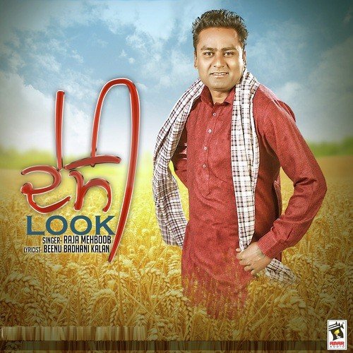 Desi Look by Raja Mehboob - Download on PagalFree
