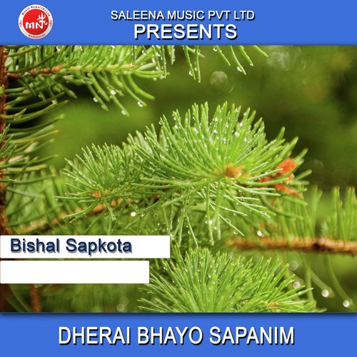 Dherai Bhayo Sapanim by Bishal Sapkota - Download on PagalFree