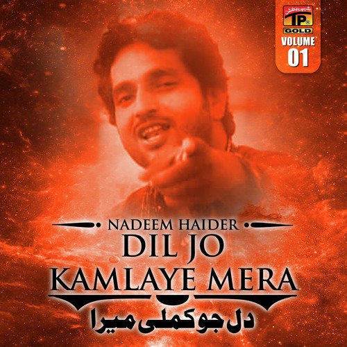 Dil Jo Kamlaye Mera by Nadeem Haider - Download on PagalFree