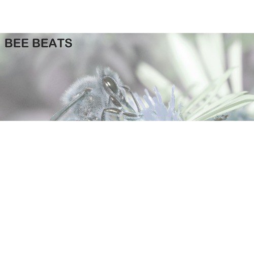 Bhangra Sapera by Bee Beats - Download on PagalFree