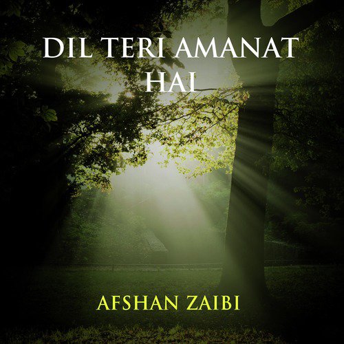 O Dilla Tere Ki Lagde by Afshan Zaibi - Download on PagalFree