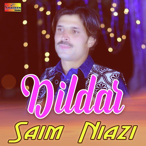 Dildar by Saim Niazi - Download on PagalFree
