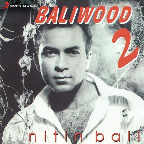 Din Dhal Jaye by Nitin Bali - Download on PagalFree
