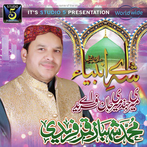 Meri Jind Meri Jaan by Shahbaz Qamar Fareedi - Download on PagalFree