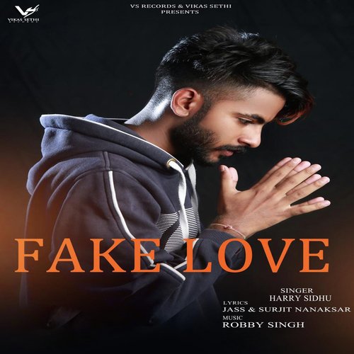 Fake Love by Harry Sidhu - Download on PagalFree