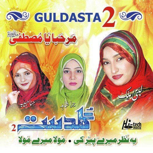 Jao Khuaja Toray Bal Hari by Hira Shahid, Lubna Malik, Hina Habiba - Download on PagalFree