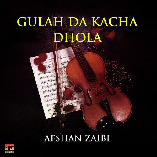 Leekan Wala Chola by Afshan Zaibi - Download on PagalFree