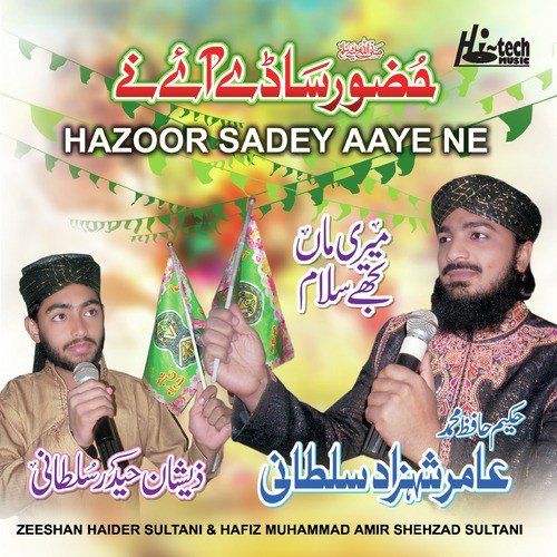Ya Rasool Allah by Zeeshan Haider Sultani, Hafiz Muhammad Amir Shehzad Sultani - Download on PagalFree
