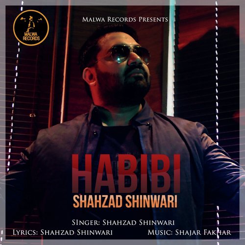Habibi by Shahzad Shinwari - Download on PagalFree