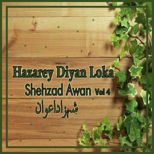 Stargay Dey Derey by Shehzad Awan - Download on PagalFree