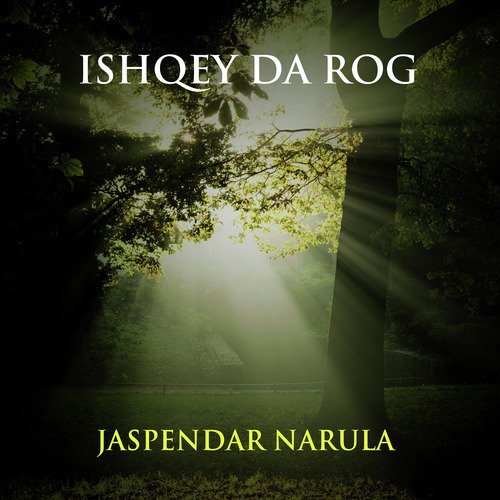 Tur Gaya Ae Kar Ke Tabah Dhola by Jaspendar Narula - Download on PagalFree