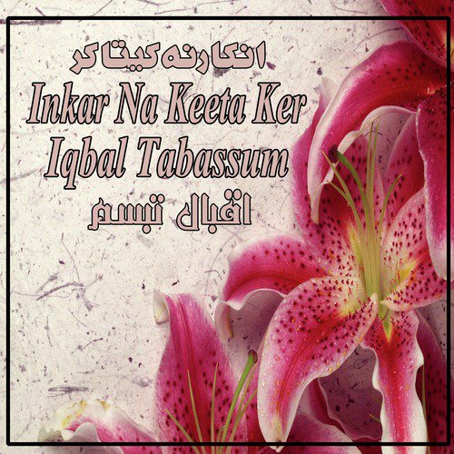 Dhol Meda Neli Da by Iqbal Tabassum - Download on PagalFree