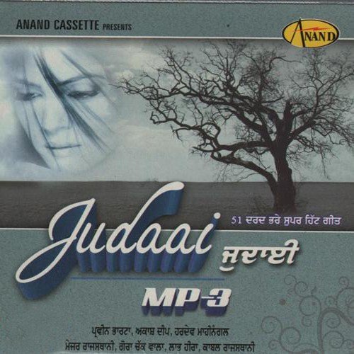 Dil Wale Dard by Various Artists - Download on PagalFree