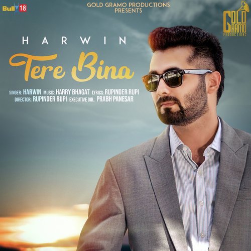 Tere Bina by Sunny - Download on PagalFree