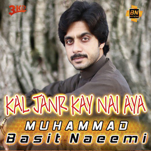 Kal Janr Kay Nai Aya by Muhammad Basit Naeemi - Download on PagalFree