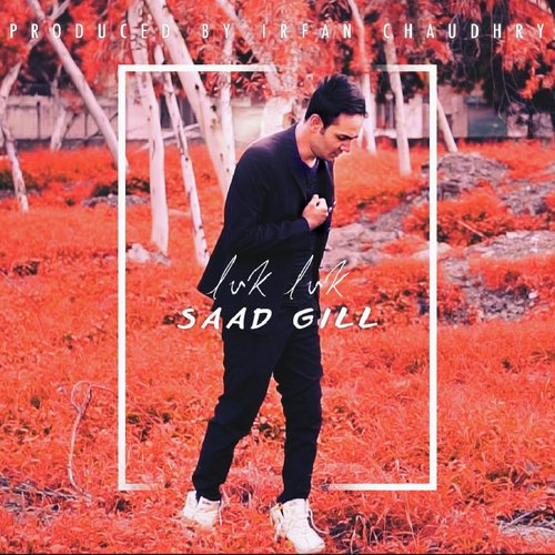 Luk Luk by Saad Gill - Download on PagalFree