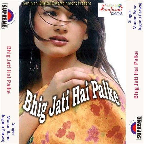 Chhut Jaiba Je Julf Ki Janjir Se Balam by Munan Bano, Juganu Parwaj - Download on PagalFree