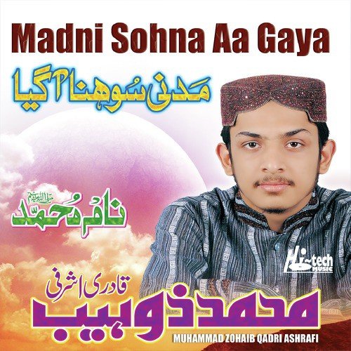 Aaye Mere Pyaare Muhammed by Muhammad Zohaib Qadri Ashrafi - Download on PagalFree