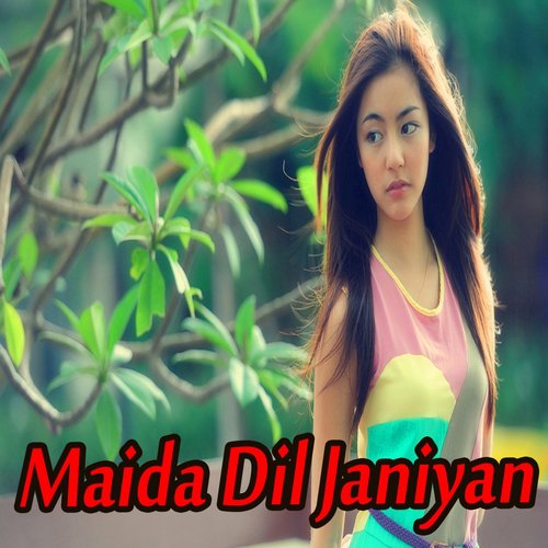 Maida Dil Janiyan by Various Artists - Download on PagalFree