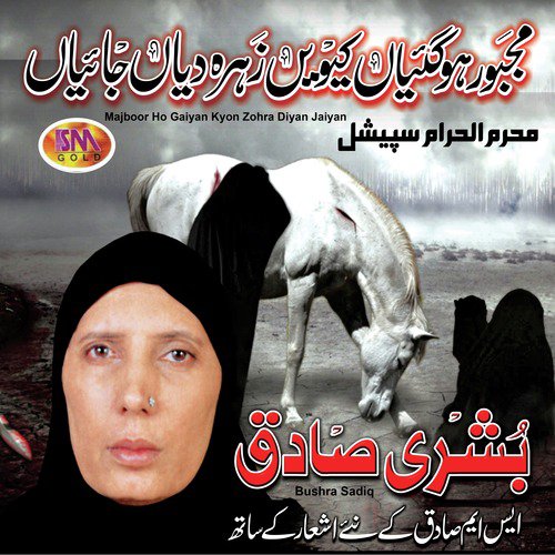 Haye Nowi Di Eh Raat by Bushra Sadiq - Download on PagalFree