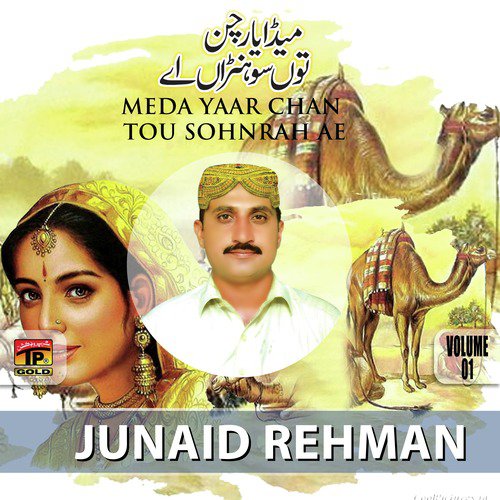 Meda Yar by Junaid Rehman - Download on PagalFree