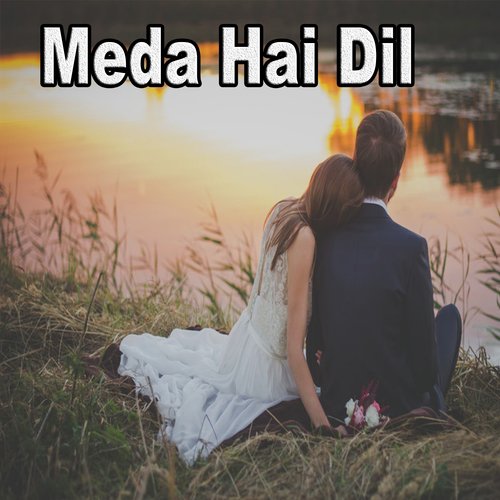 Meda Hai Dil by Amjad Saqi, Mazhar Iqbal Mazhar - Download on PagalFree