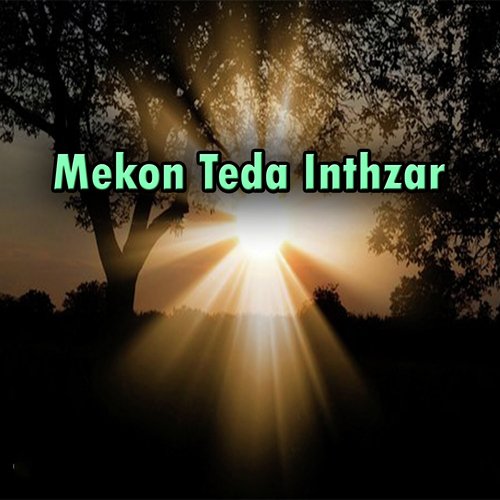 Mekon Teda Inthzar by Various Artists - Download on PagalFree