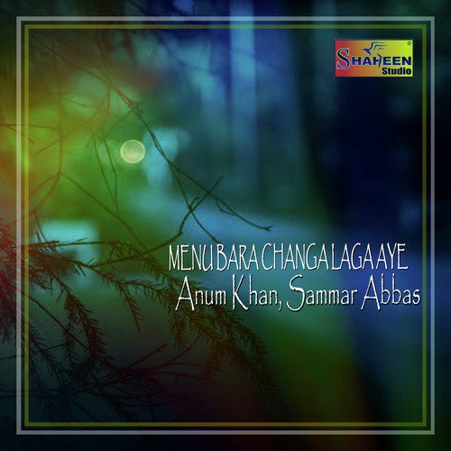 Menu Bara Changa Laga Aye by Sammar Abbas, Anum Khan - Download on PagalFree