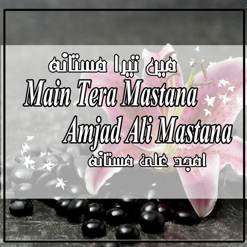 Chala Pyaar Di by Amjad Ali Mastana - Download on PagalFree