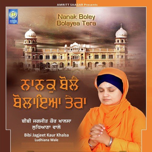 Jin Jin Naam Dheayea by Bibi Jagjeet Kaur Ji Khalsa (Ludhiana Wale) - Download on PagalFree
