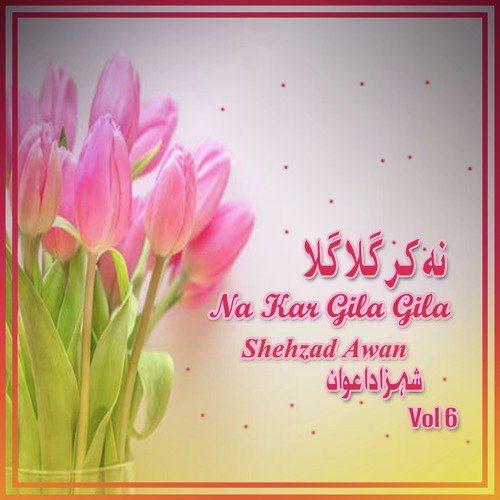 Sohnrey Mukhrey by Shehzad Awan - Download on PagalFree