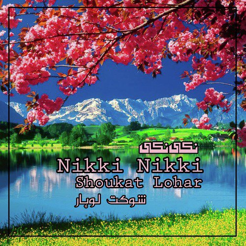 Nikki Nikki Phor by Shoukat Lohar - Download on PagalFree