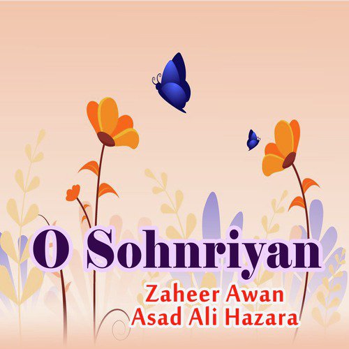 O Sohnriyan by Zaheer Awan, Asad Ali Hazara - Download on PagalFree
