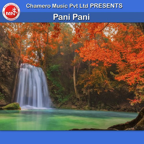 Timro Tasbir by Gopal Gyawali - Download on PagalFree