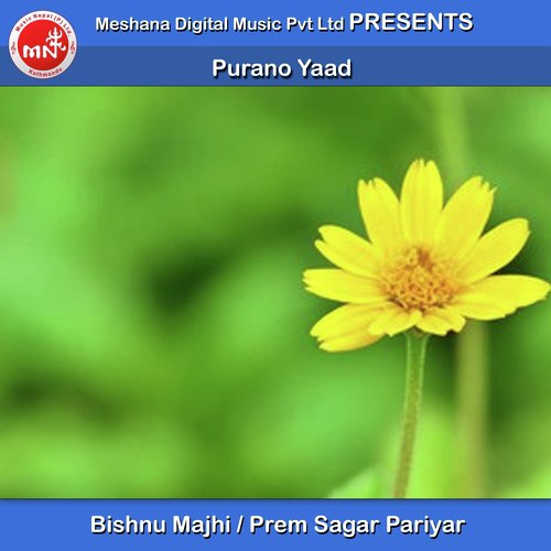 Purano Yaad by Bishnu Majhi, Prem Sagar Pariyar - Download on PagalFree