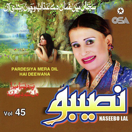 Koi Hor Hovi Vaa Te by Naseebo Lal - Download on PagalFree