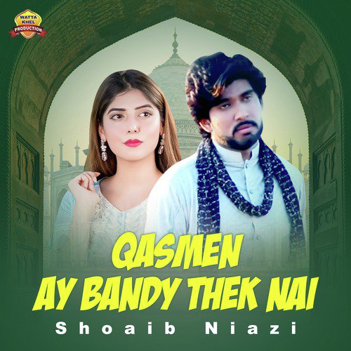 Qasmen Ay Bandy Thek Nai by Shoaib Niazi - Download on PagalFree