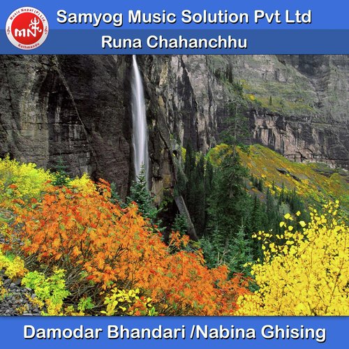 Runa Chahanchhu by Damodar Bhandari, Nabina Ghising - Download on PagalFree