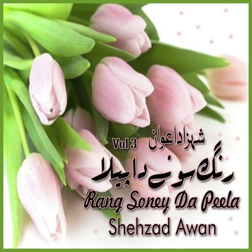 Cheetey Chaney Di Chandri by Shehzad Awan - Download on PagalFree