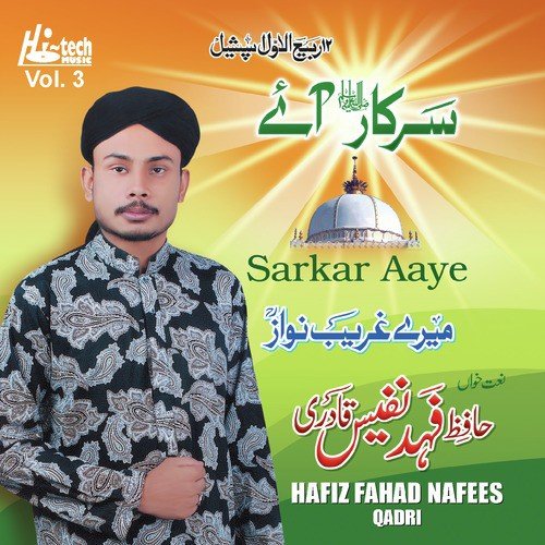 Zindagi Hai Tere Naam Ya Nabi by Hafiz Fahad Nafees Qadri - Download on PagalFree