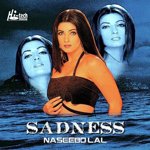 Tere Dil Vich Ki Eh by Naseebo Lal, DJ Chino - Download on PagalFree