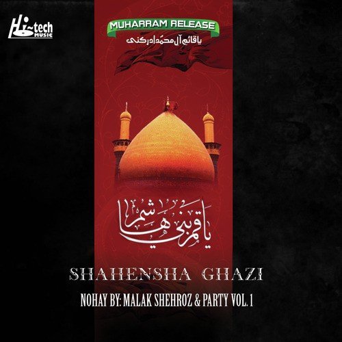 Shagna Wala by Malak Shehroz aur Party, Muharram - Download on PagalFree