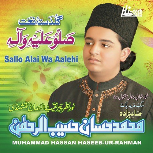 Sar-e-Gulshan Kaun Dekhe by Muhammad Hassan Haseeb-Ur-Rahman - Download on PagalFree