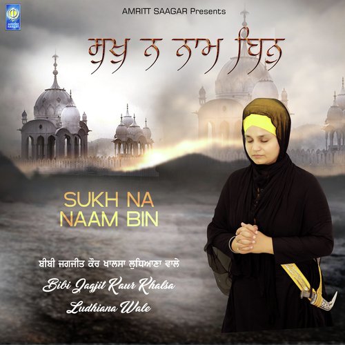 Mithe Har Gun by Bibi Jagjeet Kaur Ji Khalsa (Ludhiana Wale) - Download on PagalFree