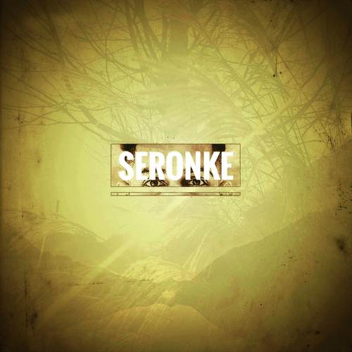 No Fikar by Seronke - Download on PagalFree